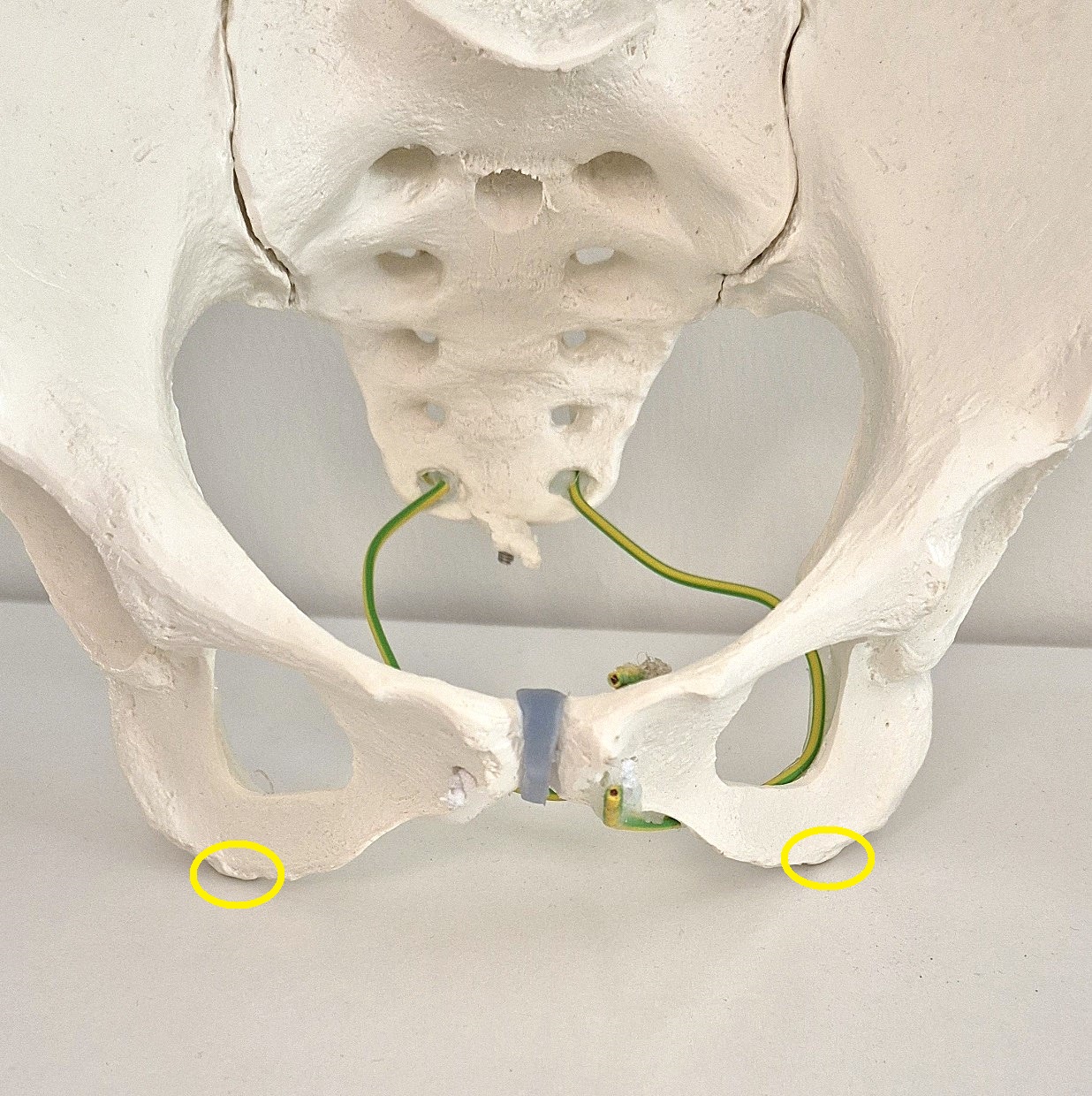 Sit bone width isn't everything when choosing a saddle